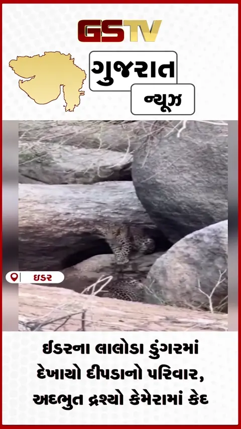 VIDEO: ઈડરના લાલોડા ડુંગરમાં દેખાયો દીપડાનો પરિવાર, અદભુત દ્રશ્યો કેમેરામાં કેદ