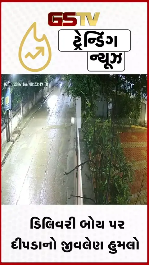 VIDEO: VIRAL / રસ્તા પર અચાનક કાળ બનીને આવ્યો દીપડો, ડિલિવરી બોયે આ રીતે બચાવ્યો જીવ
