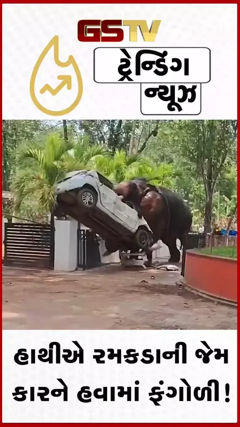 VIDEO: VIRAL /  ગુસ્સે ભરાયેલા ગજરાજનો આતંક તો જુઓ; રમકડાની જેમ કારને હવામાં ફંગોળી