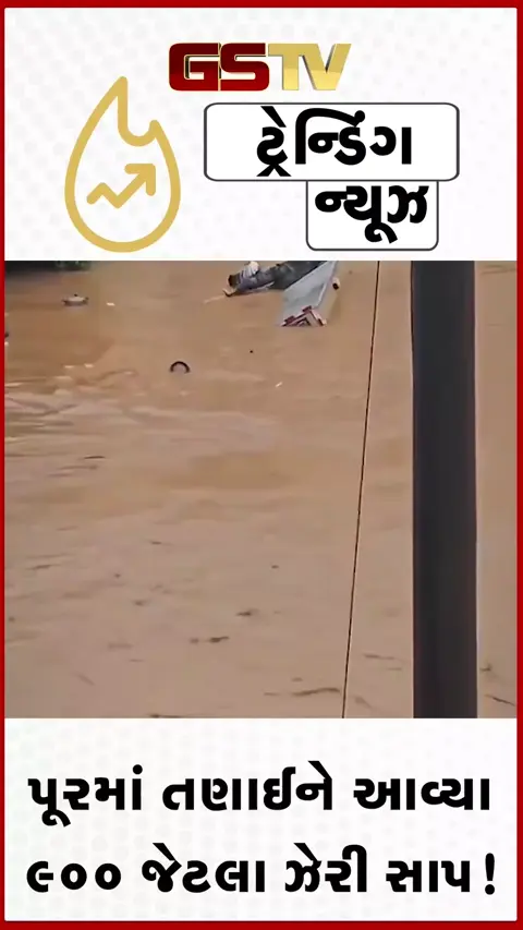 VIDEO: VIRAL/ પૂરના પાણી સાથે તણાઈને આવ્યા 900 જેટલા ઝેરી સાપ!