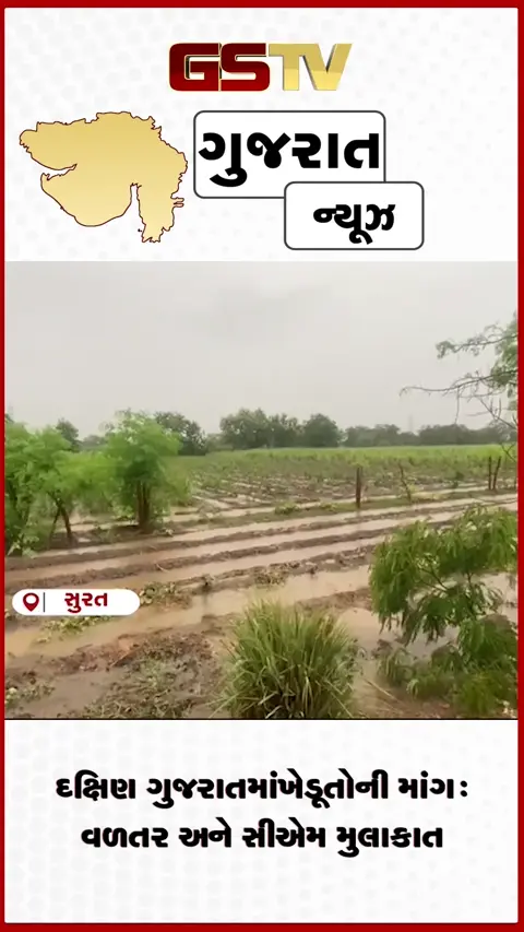 VIDEO: દક્ષિણ ગુજરાતમાં વરસાદથી નુકસાન: ખેડૂતોની મુખ્યમંત્રીને મળવાની માંગ