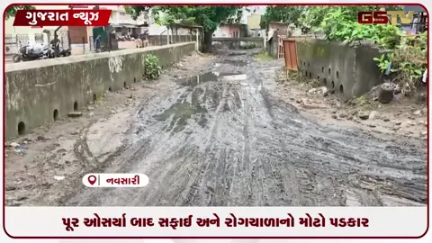 VIDEO: નવસારીમાં પૂર બાદ રોગચાળાનો ખતરો: વિજલપોરમાં લોકોનો તંત્ર સામે આક્રોશ