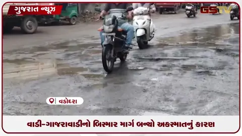 VIDEO: વડોદરામાં રોડ કે ખાડા? વાહનચાલકો ત્રાહિમામ!