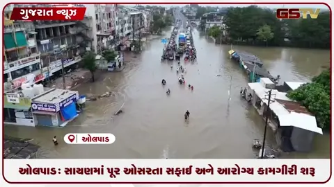 VIDEO: ઓલપાડ: સાયણમાં ખાડીના પૂર ઓસરતા તંત્ર દ્વારા સફાઈ અને આરોગ્ય કામગીરી શરૂ