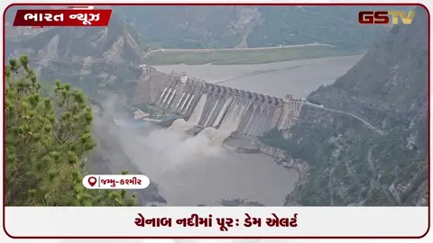 VIDEO: ચેનાબ નદીની જળસપાટી વધતા જમ્મુ-કાશ્મીરના સલાલ ડેમના દરવાજા ખોલાયા