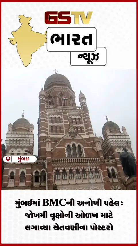 VIDEO: મુંબઈમાં BMCની અનોખી પહેલ: જોખમી વૃક્ષોની ઓળખ માટે લગાવ્યા ચેતવણીના પોસ્ટરો