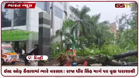 VIDEO: ઈસ્ટ ઓફ કૈલાશમાં ભારે વરસાદ: રાજા ધીર સિંહ માર્ગ પર વૃક્ષ ધરાશાયી