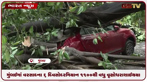 VIDEO: મુંબઈમાં વરસાદના 6 દિવસો દરમિયાન 1100થી વધુ વૃક્ષો ધરાશાઈ