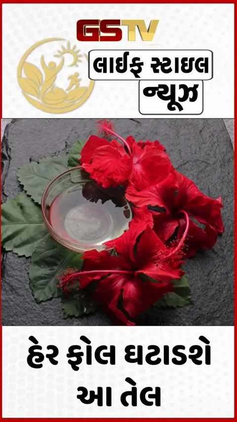 VIDEO: Hair Care Tips / ચોમાસાના આગમન સાથે તમારા વાળ ખરવા લાગે છે, તો ટ્રાય કરો હિબિસ્કસ અને નાળિયેર તેલમાંથી બનાવેલ ઓઈલ