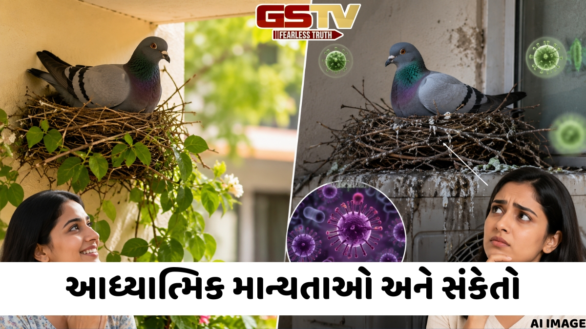 કબૂતર માળો બનાવે તો શું તમારે ખુશ થવું જોઈએ કે સાવધ રહેવું જોઈએ? જાણો વાસ્તુ અનુસાર તેનો અર્થ