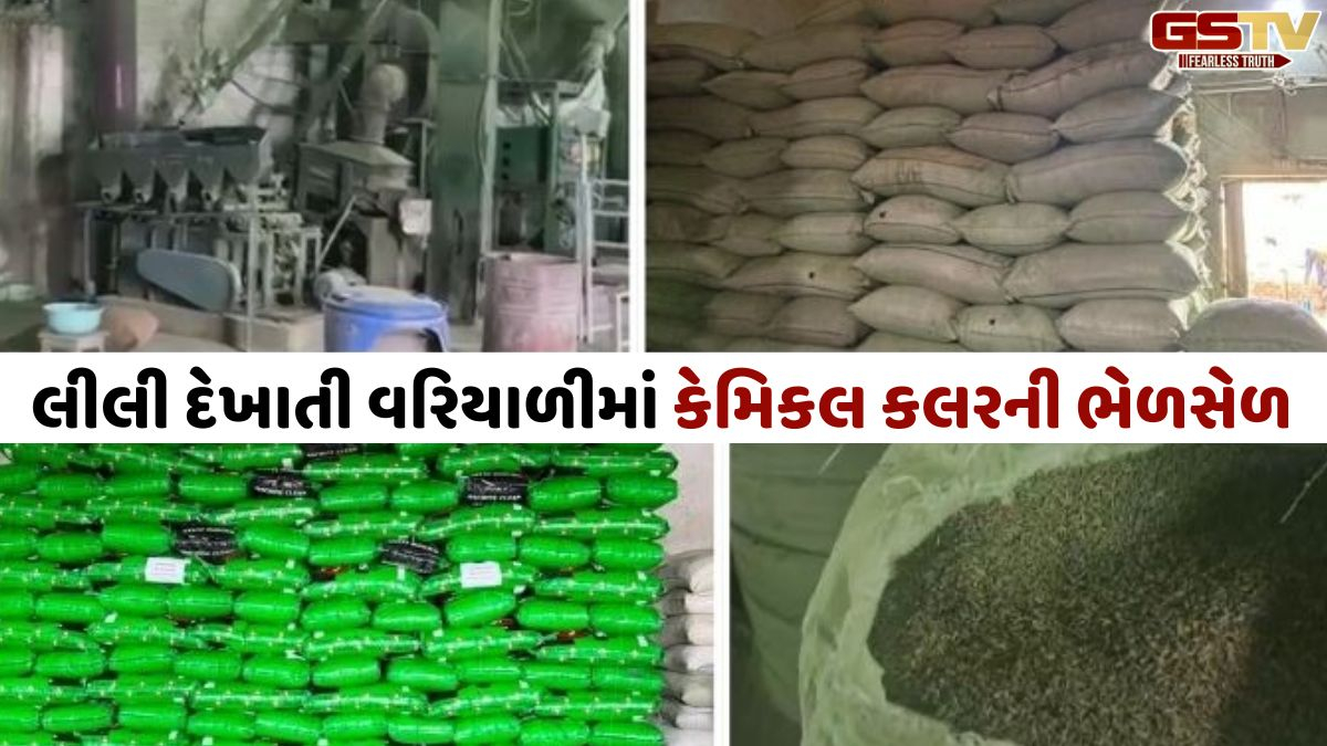 ઊંઝામાં કેમિકલ કલરની ભેળસેળવાળી 26 ટન વરિયાળી ઝડપાઈ, ₹19.6 લાખનો જથ્થો જપ્ત