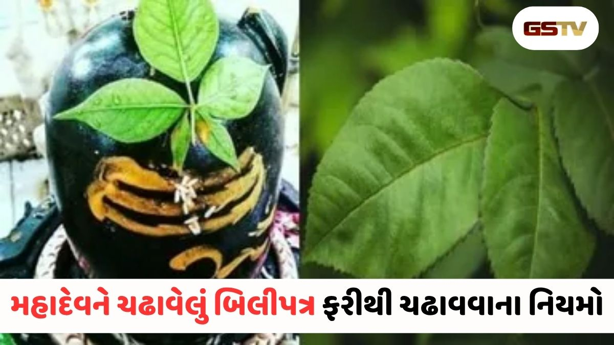 શું શિવજીને ચઢાવેલું બિલીપત્ર ફરીથી ચઢાવી શકાય? જાણો આ પાછળનો ચોંકાવનારો શાસ્ત્રોક્ત નિયમ!