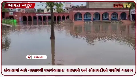 VIDEO: અંબાલામાં ભારે વરસાદથી જળબંબાકાર: શાળાઓ અને સોસાયટીઓ પાણીમાં ગરકાવ