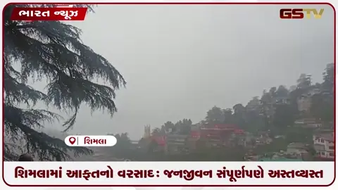 VIDEO: શિમલામાં આફતનો વરસાદ: જનજીવન સંપૂર્ણપણે અસ્તવ્યસ્ત
