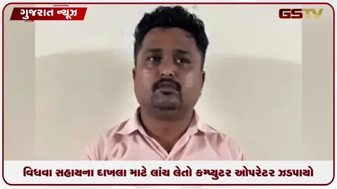 VIDEO: ચાણસ્મા મામલતદાર કચેરીમાં વિધવા સહાયના દાખલ માટે લાંચ લેતો લાંચિયો ઝડપાયો