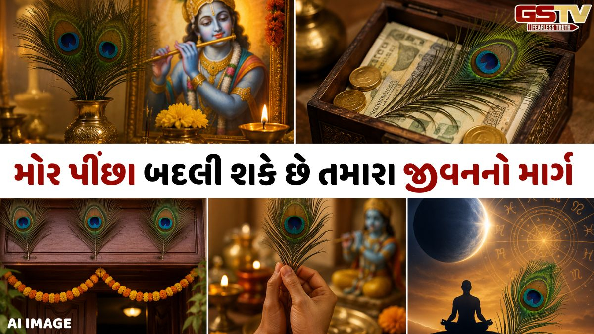 શું રાહુ તમારા કામમાં અવરોધ ઉભો કરી રહ્યો છે? મોરના પીંછાનો ઉપયોગ કરી આ ઉપાયો અજમાવો