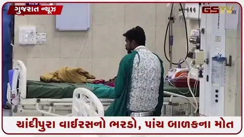 VIDEO: સાબરકાંઠામાં ચાંદીપુરા વાઈરસનો પ્રકોપ: 5 બાળકોના મોત, હિંમતનગર સિવિલમાં 7 શંકાસ્પદ કેસ