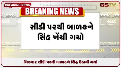 VIDEO: ગિરનારની સીડી પર સિંહનો હુમલો: ખેડાના માસૂમ બાળકને ખેંચી જઈ ફાડી ખાધો