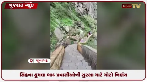 VIDEO: સિંહના હુમલા બાદ પ્રવાસીઓની સુરક્ષા માટે મોટો નિર્ણય