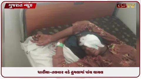 VIDEO: જોટાણાના મેમદપુરામાં લોહિયાળ ખેલ ખેતરમાં ચાલવા મુદ્દે પરિવાર પર હુમલો