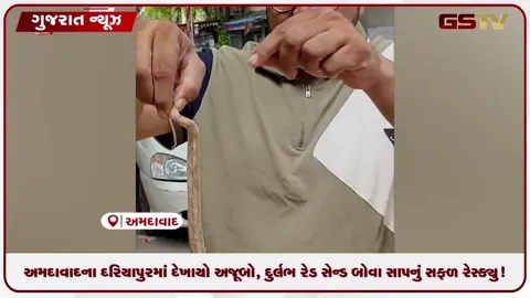 VIDEO: અમદાવાદના દરિયાપુરમાં દેખાયો અજૂબો, દુર્લભ રેડ સેન્ડ બોવા સાપનું સફળ રેસ્ક્યુ!