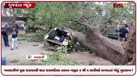 VIDEO: નવસારીમાં વૃક્ષ ધરાશાયી થતા શરબતિયા તળાવ નજીક ૪ થી ૫ લારીઓ ચગદાતાં મોટું નુકસાન!