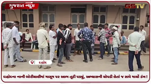 VIDEO: દાહોદના નાની બોરીયાલીમાં માસૂમ પર આભ તૂટી પડ્યું, અભ્યાસની ચોપડી લેતાં જ સાપે માર્યો ડંખ!