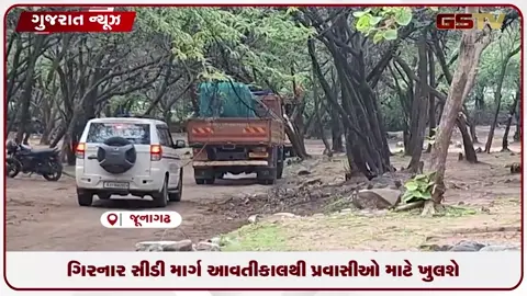 VIDEO: ગિરનાર સિંહ હુમલો નર સિંહની ઊલટીમાંથી મળ્યા બાળકના અવશેષો