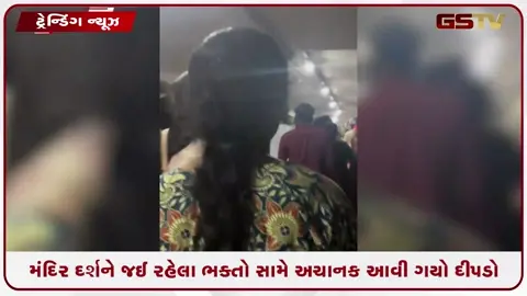 VIDEO: VIRAL / મંદિર દર્શને જઈ રહેલા ભક્તો સામે અચાનક આવી ગયો દીપડો, જુઓ પછી શું થયું