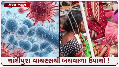 VIDEO: જીવલેણ ચાંદીપુરા વાયરસના શું છે લક્ષણો? જાણો તેનાથી બચાવના ઉપાયો