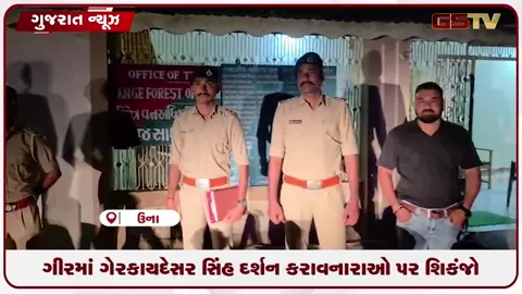 VIDEO: ગીરમાં ગેરકાયદેસર સિંહ દર્શન કરાવનારાઓ પર શિકંજો, વન વિભાગે ૮ શખ્સોની કરી ધરપકડ!