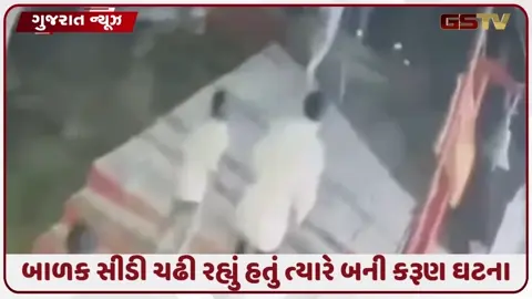 VIDEO: ગિરનાર પર્વત પર સિંહના હુમલા પહેલાંની છેલ્લી ક્ષણો CCTVમાં કેદ, જુઓ સાવજ આવ્યા બાદ મચી નાસભાગ