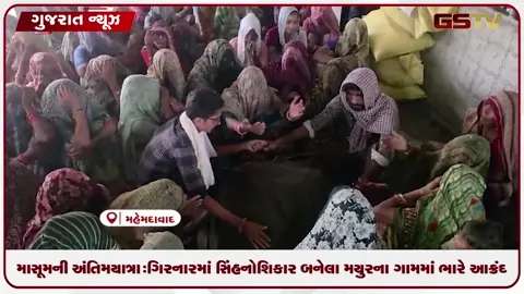 VIDEO: માસૂમની અંતિમયાત્રા: ગિરનારમાં સિંહનો શિકાર બનેલા મયુરના ગામમાં ભારે આક્રંદ