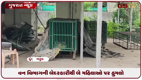 VIDEO: ઝઘડિયા વન વિભાગની કચેરીના પાંજરામાંથી દીપડો ભાગી છૂટતા ભારે અફરાતફરી