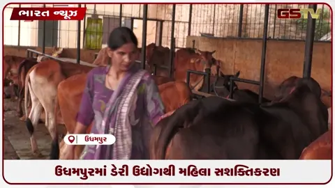 VIDEO: ઉધમપુરમાં ડેરી ઉદ્યોગથી મહિલા સશક્તિકરણ