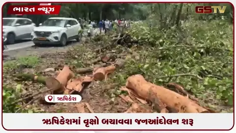 VIDEO: ઋષિકેશમાં વૃક્ષો બચાવવા જનઆંદોલન શરૂ