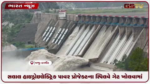 VIDEO: સલાલ હાઇડ્રોઇલેક્ટ્રિક પાવર પ્રોજેક્ટના સ્પિલવે ગેટ ખોલવામાં આવ્યા