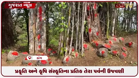 VIDEO: ડાંગમાં આદિવાસી સમાજ દ્વારા પ્રકૃતિ અને કૃષિ સંસ્કૃતિના પ્રતિક ‘તેરા પર્વ’ની ઉજવણી