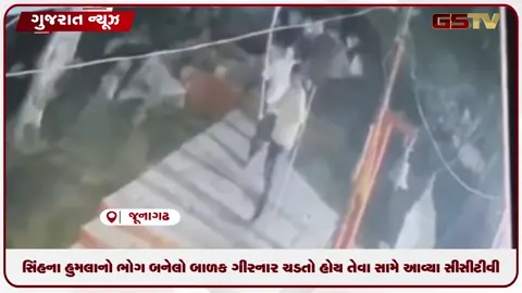 VIDEO: સિંહના હુમલાનો ભોગ બનેલો બાળક ગીરનારના પગથિયા ચડતો હોય તેવા સામે આવ્યા સીસીટીવી