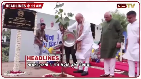VIDEO: HEADLINE 11:00 AM: ગાંધીનગરમાં 1.25 કરોડ વૃક્ષો રોપાયા, પાટણના જગન્નાથ મંદિરે નેત્રોત્સવવિધિ સંપન્ન, બાઈક લોન રિકવરી એજન્ટની હત્યા