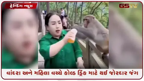 VIDEO: VIRAL /  મહિલાએ કોલ્ડ ડ્રિંક ન છોડ્યું, પણ વાંદરાએ રમી એવી ચાલ કે લોકો દંગ રહી ગયા!