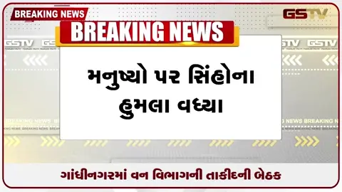 VIDEO: માનવ હુમલા વધતા ગાંધીનગરમાં વન વિભાગની તાકીદની મહાબેઠક, ઘડાશે ઈમરજન્સી પ્લાન
