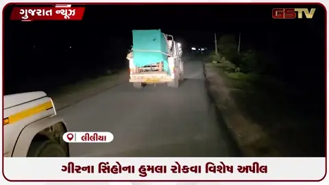 VIDEO: ગીરના સિંહોના વધતા હુમલા સામે વાઈલ્ડ લાઈફ ફોટોગ્રાફર ભૂષણ પંડ્યાની મહત્વની અપીલ