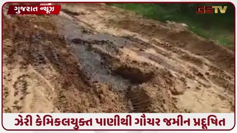 VIDEO: કડીના લક્ષ્મીપુરામાં ગૌચરમાં જમીનમાં છોડાયું ઝેરી કેમિકલયુક્ત પાણી, સ્થાનિકો અને પશુઓના આરોગ્યને જોખમ