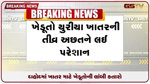 VIDEO: દાહોદ APMCમાં ખાતર માટે હાહાકાર: વહેલી સવારના 5 વાગ્યાથી ખેડૂતોની લાંબી લાઈનો, કલાકોની રાહ છતાં યુરિયા ન મળતા ભારે રોષ