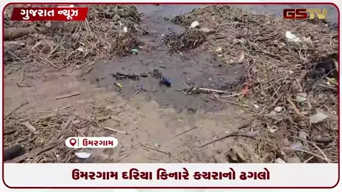 VIDEO: વલસાડના ઉમરગામ બીચ પર કચરાનું સામ્રાજ્ય