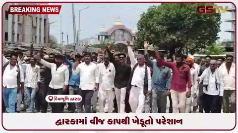 VIDEO: વીજળી વગર દ્વારકાના ખેડૂતોનો પાક મુરઝાયો, ઉગ્ર આંદોલનની ચીમકી!