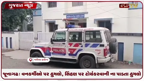 VIDEO: જૂનાગઢઃ વનકર્મીઓ પર હુમલો, સિંહણ પર ટોર્ચ કરવાની ના પાડતા હુમલો