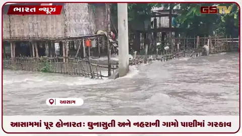 VIDEO: આસામમાં પૂર હોનારત: ઘુનાસુતી અને નહરાની ગામો પાણીમાં ગરકાવ
