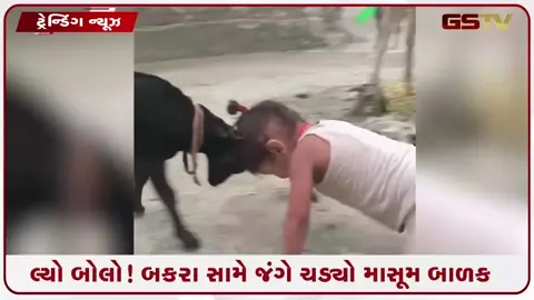 VIDEO: VIRAL / બકરા સામે જંગે ચડ્યો માસૂમ બાળક, પછી બંને વચ્ચે થઈ જોરદાર લડાઈ, કેમેરામાં કેદ થયો અનોખો નજારો